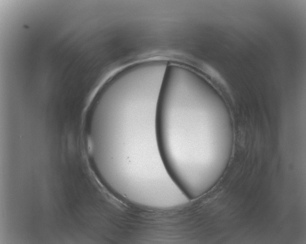 X0000067001368200604142248