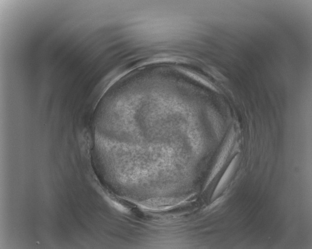 X0000067001369200604142248