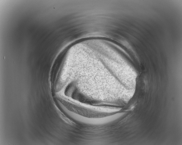 X0000067001372200604142248