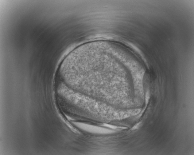 X0000067001373200604142248