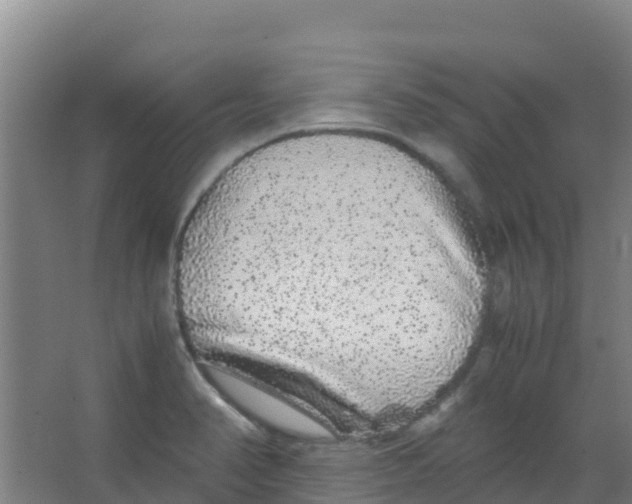 X0000067001374200604142248