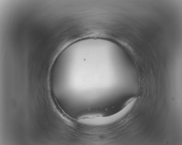 X0000067001375200604142248