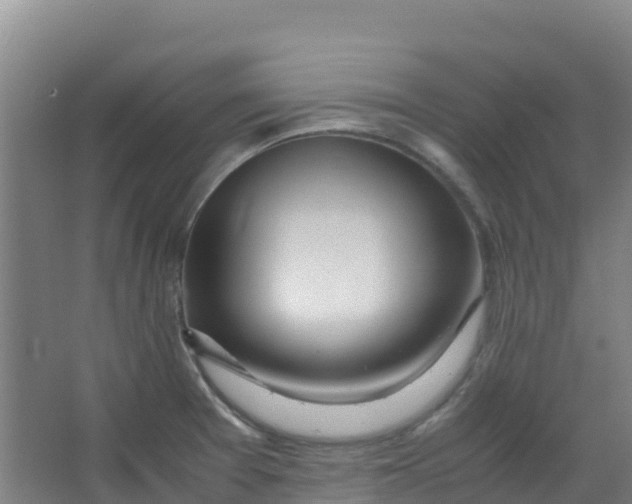 X0000067001377200604142248