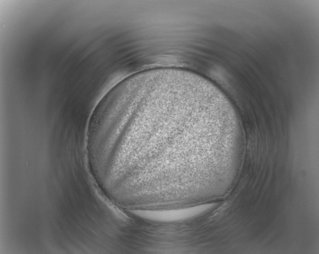 X0000067001378200604142248