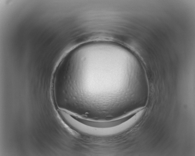 X0000067001379200604142248