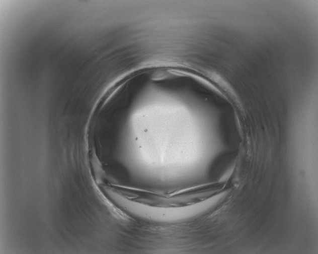 X0000067001380200604142248