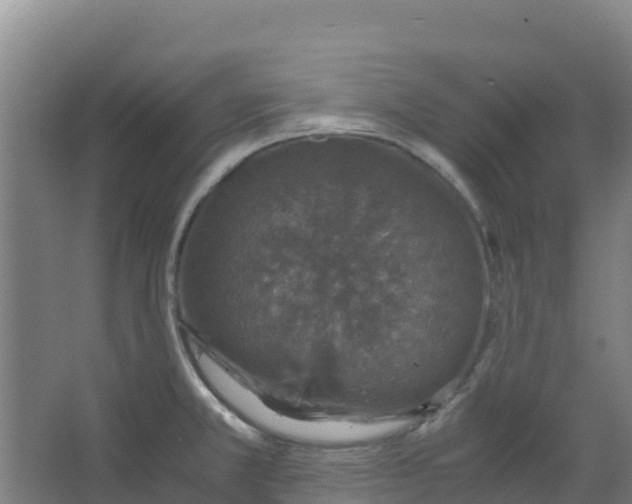 X0000067001381200604142248