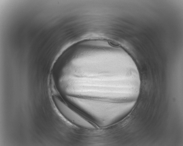 X0000067001382200604142248