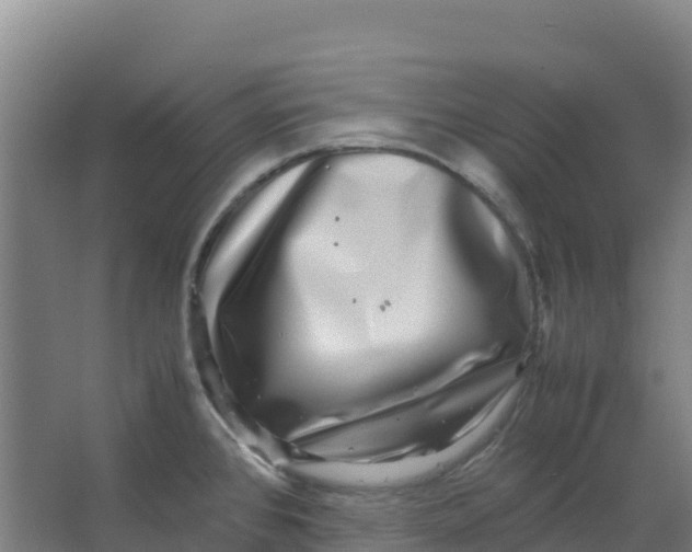 X0000067001384200604142248