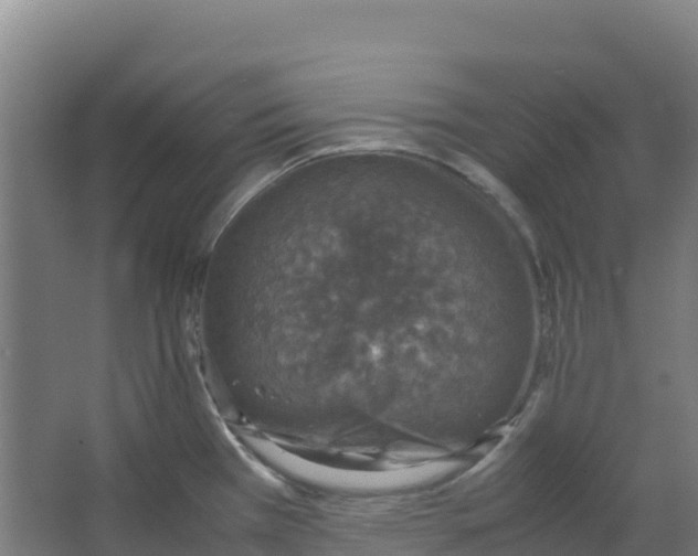 X0000067001385200604142248