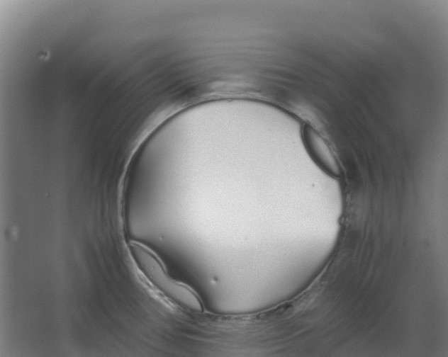 X0000067001386200604142248