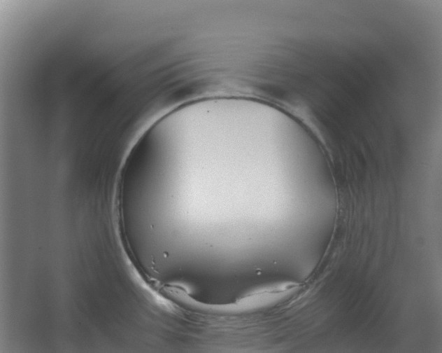 X0000067001387200604142248