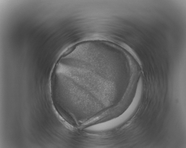 X0000067001388200604142248