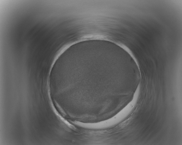 X0000067001389200604142247