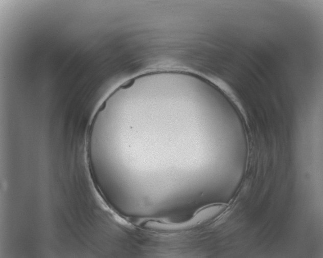 X0000067001390200604142247