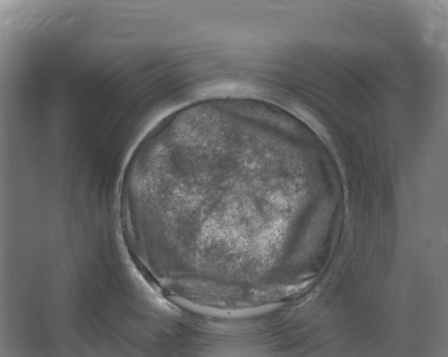 X0000067001392200604142247