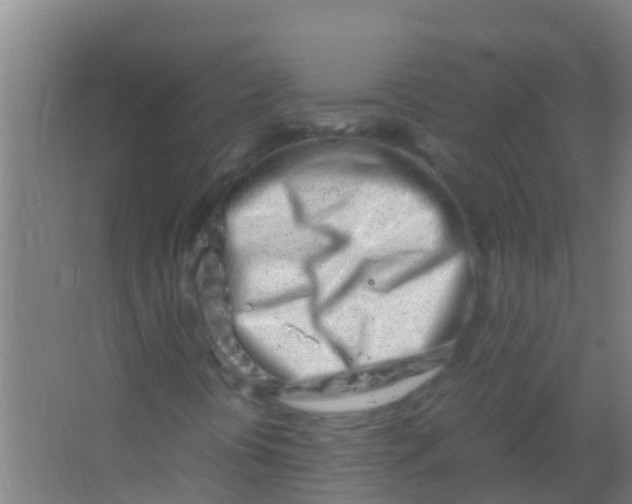 X0000067001394200604142247