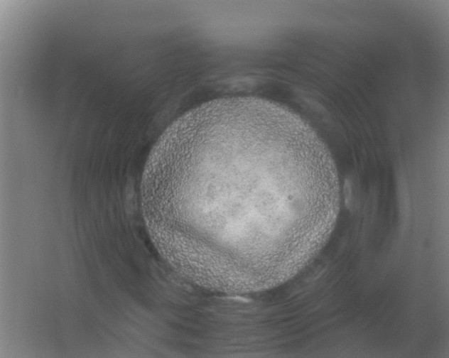 X0000067001395200604142247