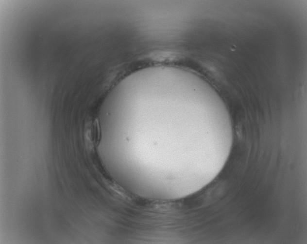 X0000067001396200604142247