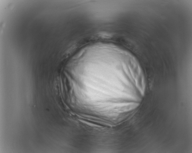 X0000067001397200604142247