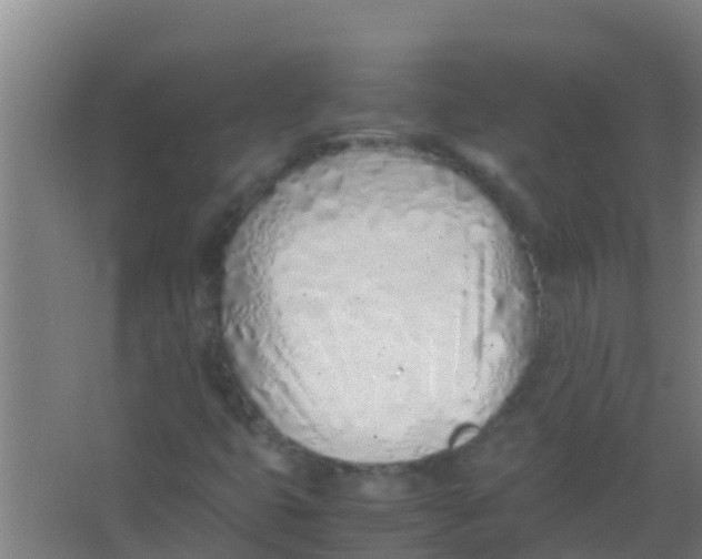 X0000067001399200604142247