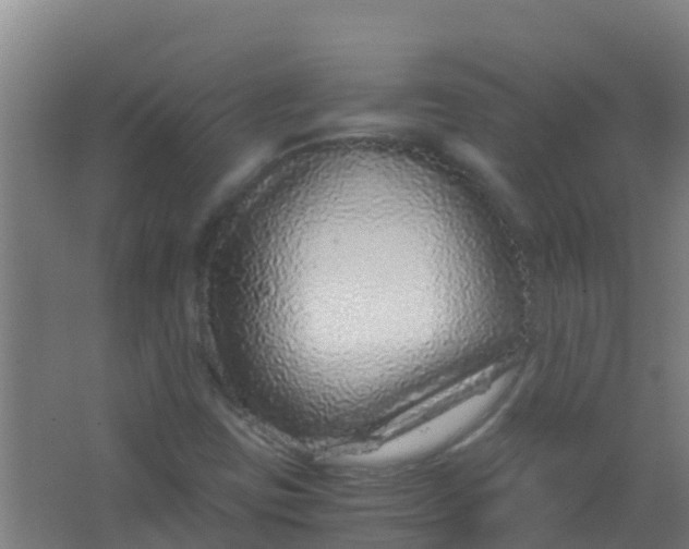 X0000067001403200604142247