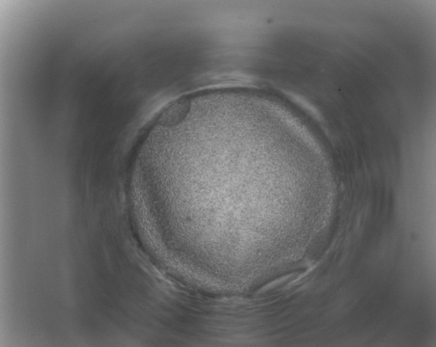 X0000067001407200604142247