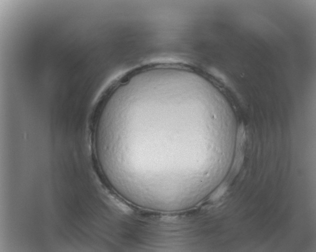 X0000067001408200604142247