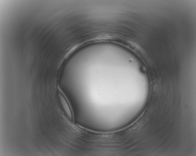 X0000067001409200604142247