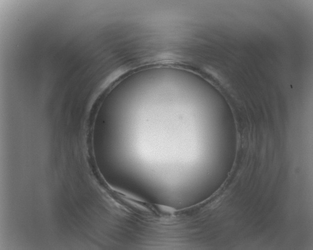 X0000067001410200604142247