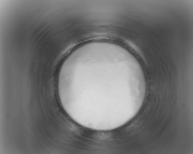 X0000067001411200604142247