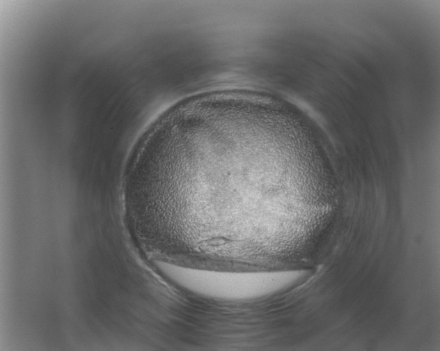 X0000067001415200604142247