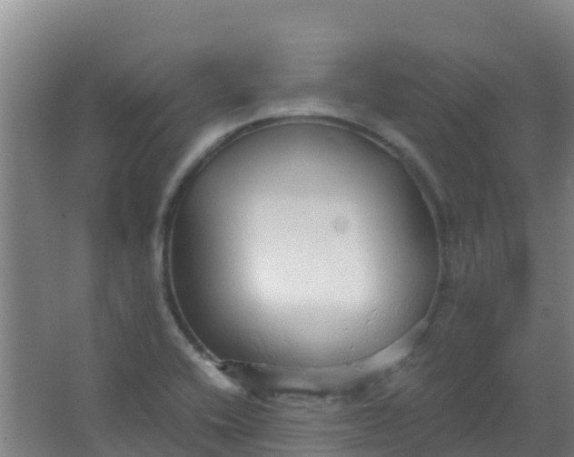 X0000067001416200604142247