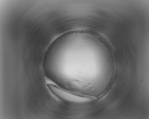 X0000067001417200604142247