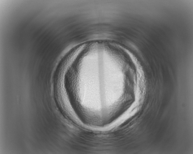 X0000067001419200604142247