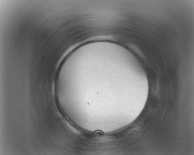 X0000067001420200604142247