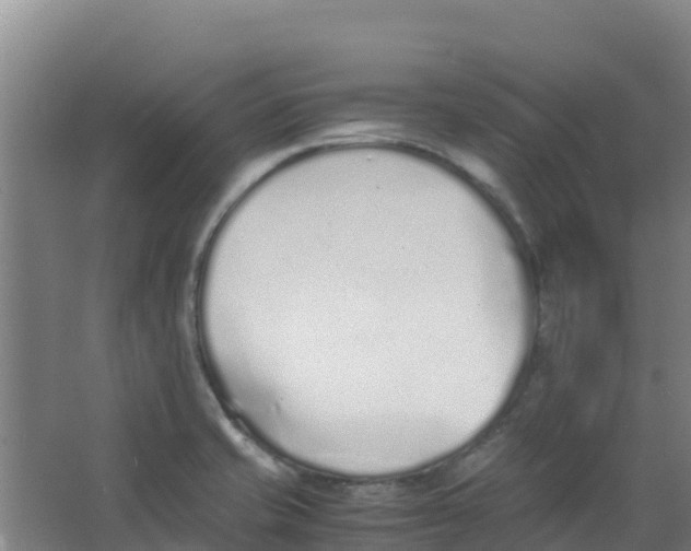 X0000067001421200604142247