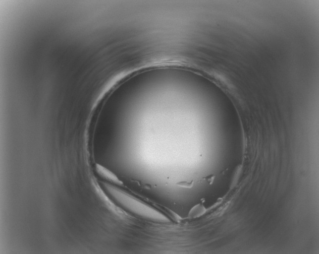 X0000067001422200604142247