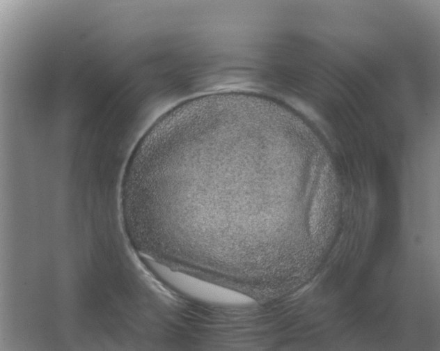 X0000067001423200604142247