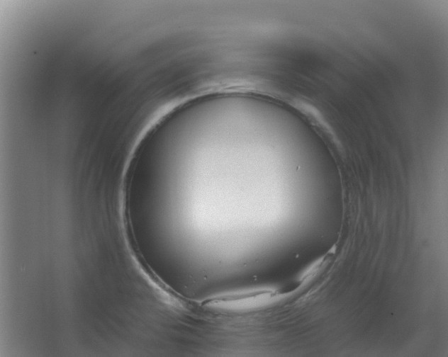 X0000067001424200604142247