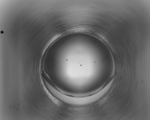 X0000067001426200604142247