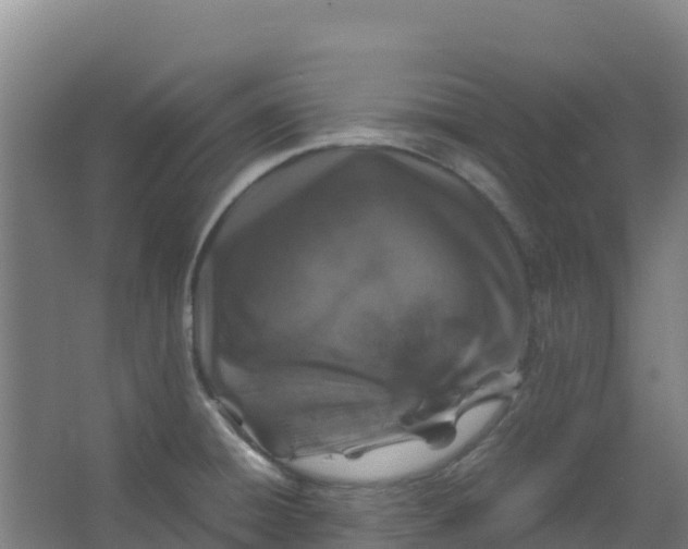 X0000067001428200604142247