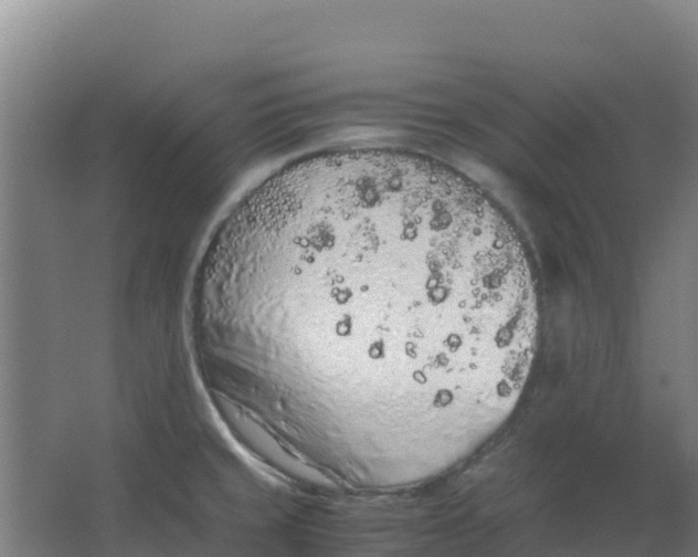 X0000067001429200604142247