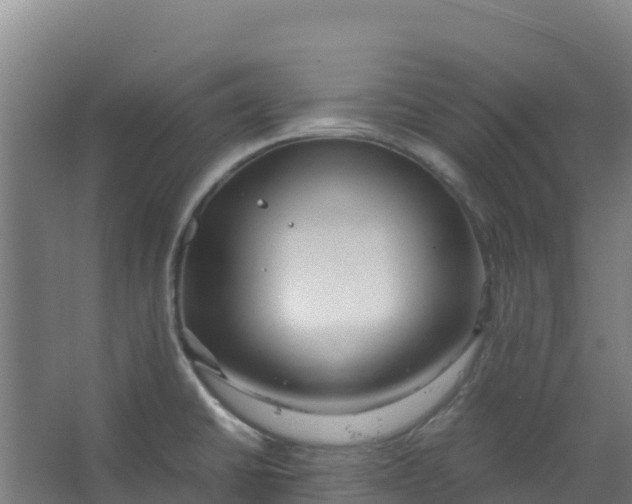 X0000067001430200604142247