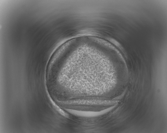 X0000067001431200604142247