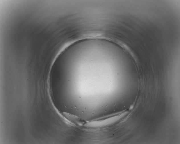 X0000067001432200604142247