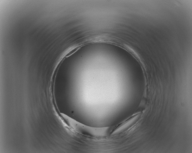 X0000067001434200604142247