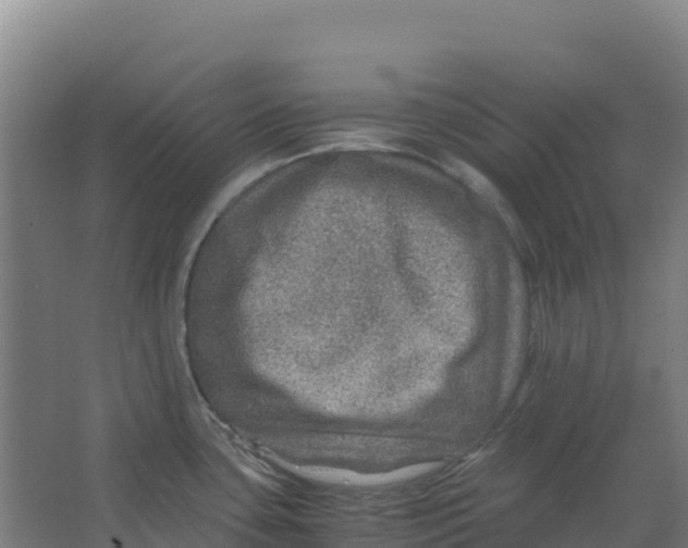 X0000067001435200604142247