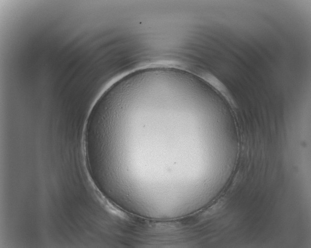 X0000067001436200604142247