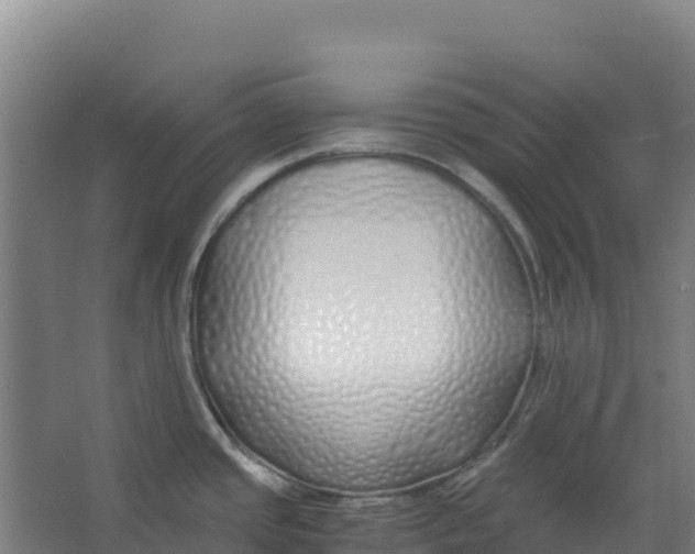 X0000067001437200604142247